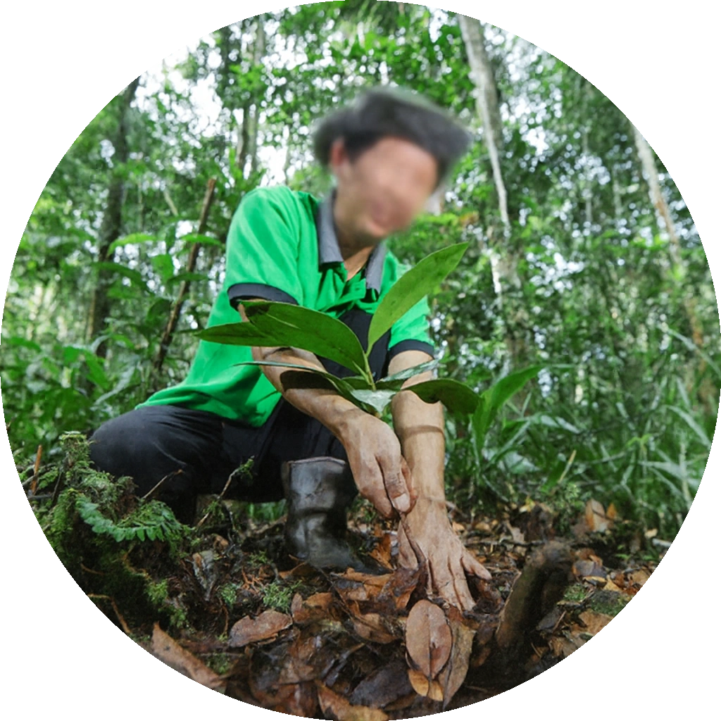 Restaurant-dining-furniture