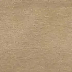 Sunproof Avant Garde Champagne 141 outdoor acrylic fabric swatch, soft brushed