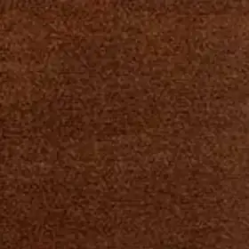 Sunproof Avant Garde Champagne 205 outdoor acrylic fabric swatch, soft brushed